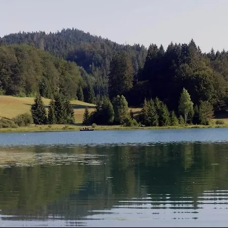 Avec Belle Vue Proche Du Genin Apartament Echallon