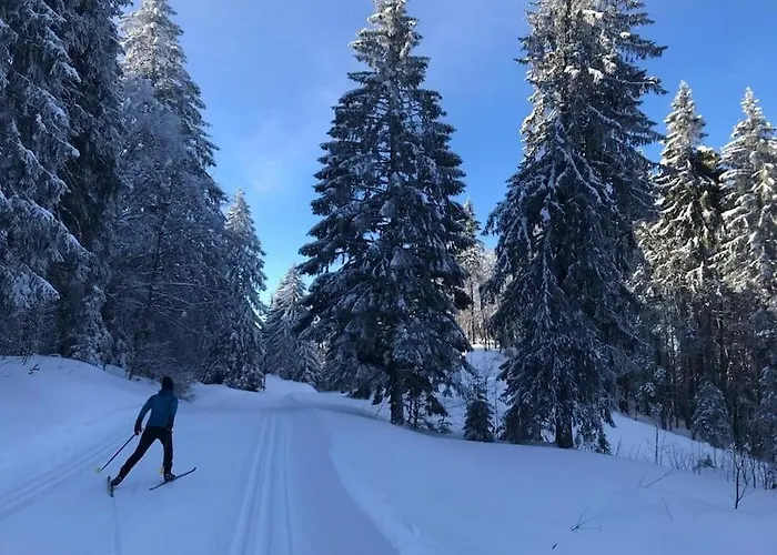 Avec Belle Vue Proche Du Genin *