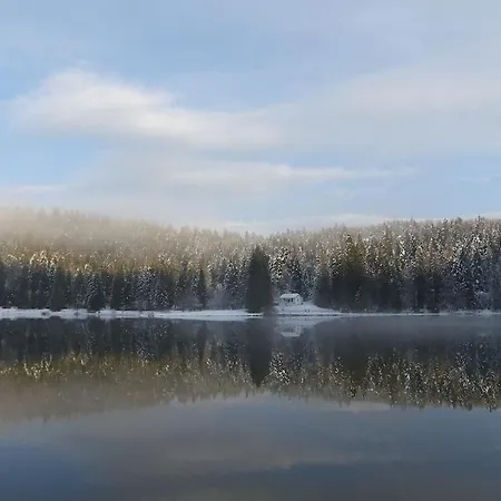 Avec Belle Vue Proche Du Genin