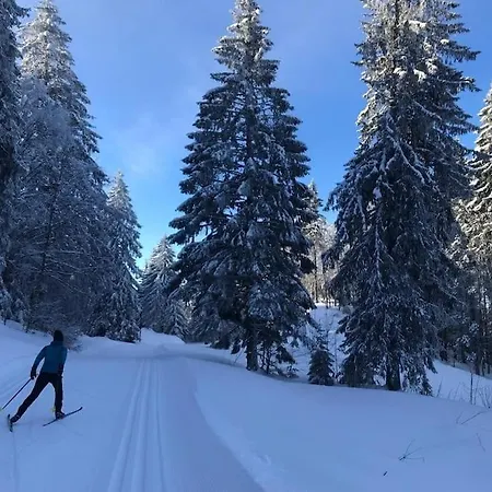 Avec Belle Vue Proche Du Genin *